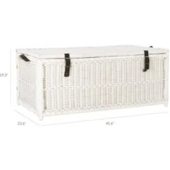Happimess Caden Wicker Storage Trunk -Furniture Specialty Store GUEST 2a1e1997 0397 480a bf8d 83cd09ce8824