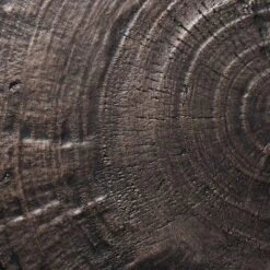 Grantsville Drum Accent Table Black - Threshold™ Designed With Studio McGee -Furniture Specialty Store GUEST 2a48e59f 9a1e 4d95 a641 6710dbd36ebe