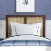 Serena Wood And Cane Panel Headboard - Hillsdale Furniture -Furniture Specialty Store GUEST 30141578 5aa9 4323 81f9 6e2b9fb907a1