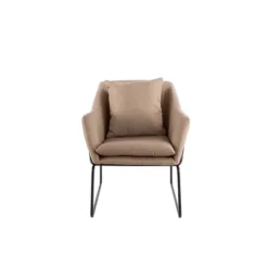 Odile Metal Frame Accent Chair - Adore Décor -Furniture Specialty Store GUEST 4431adff 90b2 4229 a654 5ebe70a88818
