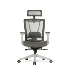 Premium Ergonomic Office Chair - Autonomous 20 Premium Ergonomic Office Chair - Autonomous -Furniture Specialty Store GUEST 49858d5f ea17 4bd9 988b c215318646cf