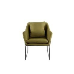 Odile Metal Frame Accent Chair - Adore Décor -Furniture Specialty Store GUEST 7c749b58 480d 4e22 8829 4832f4ea0b39