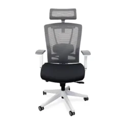 Premium Ergonomic Office Chair - Autonomous 18 Premium Ergonomic Office Chair - Autonomous -Furniture Specialty Store GUEST 8dee349b f4cf 409e b48c 7a7d89854194