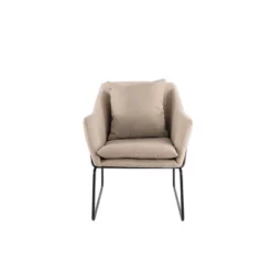 Odile Metal Frame Accent Chair - Adore Décor -Furniture Specialty Store GUEST 999f01af cfc1 450b b08b 97fc9f37ef23