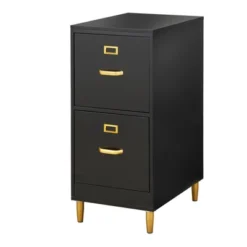 Dixie 2 Drawer Filing Cabinet - Buylateral 18 Dixie 2 Drawer Filing Cabinet - Buylateral -Furniture Specialty Store GUEST a6c30278 e9d2 483a b366 845bb9afa6b5