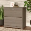 Cabot 2 Drawer File Cabinet Ash Gray - Bush Furniture -Furniture Specialty Store GUEST e956fcbc 772a 4145 a038 af6b88662ff9