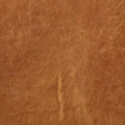 Mauricio Sofa Cognac Tan - Poly & Bark 21 Mauricio Sofa Cognac Tan - Poly & Bark -Furniture Specialty Store GUEST f9b7a8bf 0e94 420c 9193 f4d6a3a03482